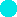 Press - string D